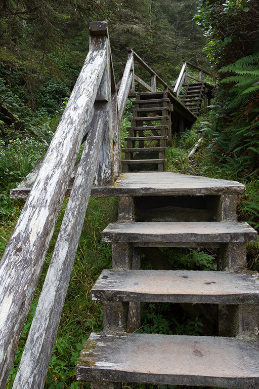 09-19 - 02.jpg - Pacific Rim National Park, Vancouver Island, BC